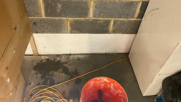 Mold Treatment in New Jersey