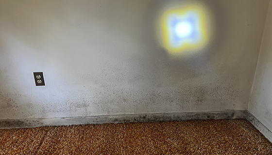 Water Damage Restoration in New Jersey