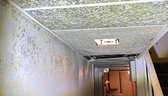 Water Damage Restoration in New Jersey