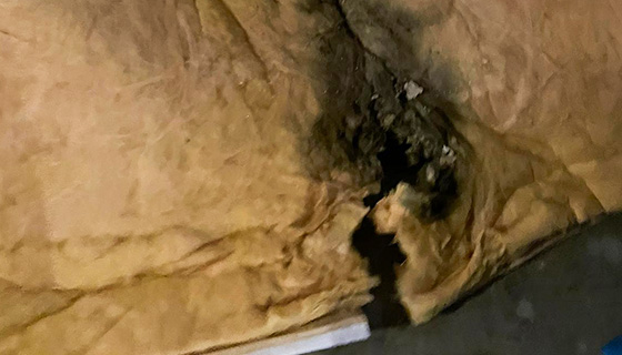 Water Damage Restoration in Washington, DC
