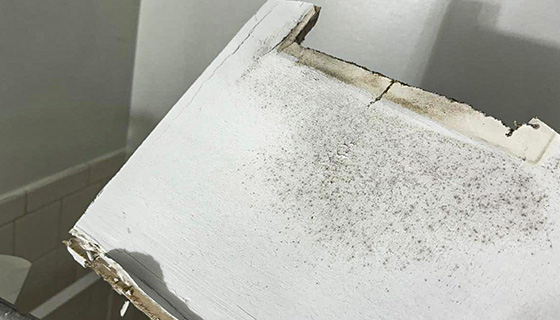 Water Damage Restoration in Washington, DC