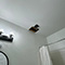 Water Damage Restoration in Washington, DC