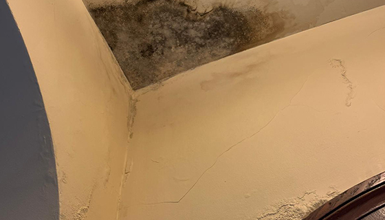 Water Damage Restoration in Washington, DC