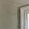 Water Damage Restoration in Washington, DC