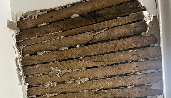 Water Damage Restoration in Washington, DC